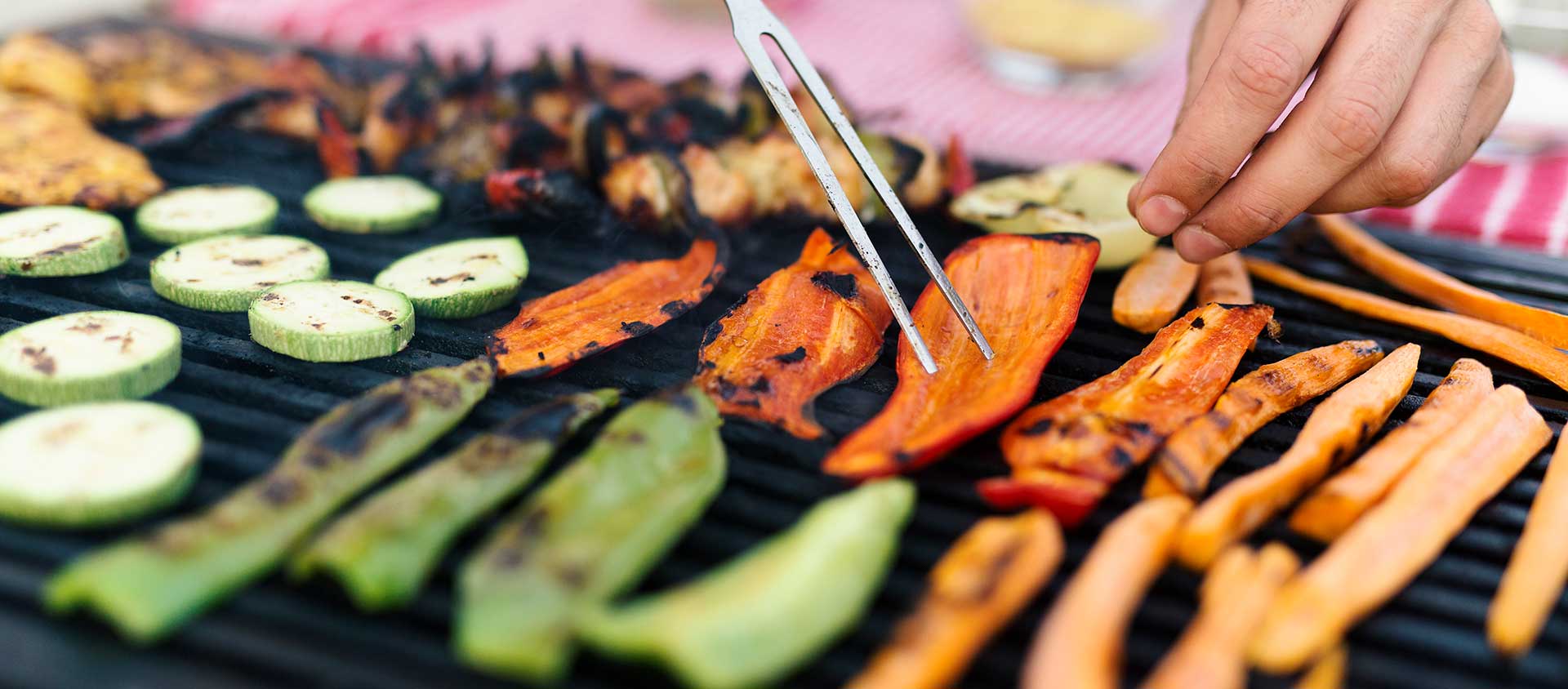 Saiba mais sobre Vegetarianismo